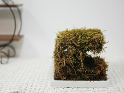 苔オブジェ